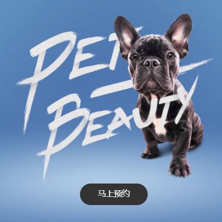 凯里市宠物中心小程序开发